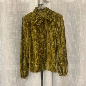 Velvet Blouse